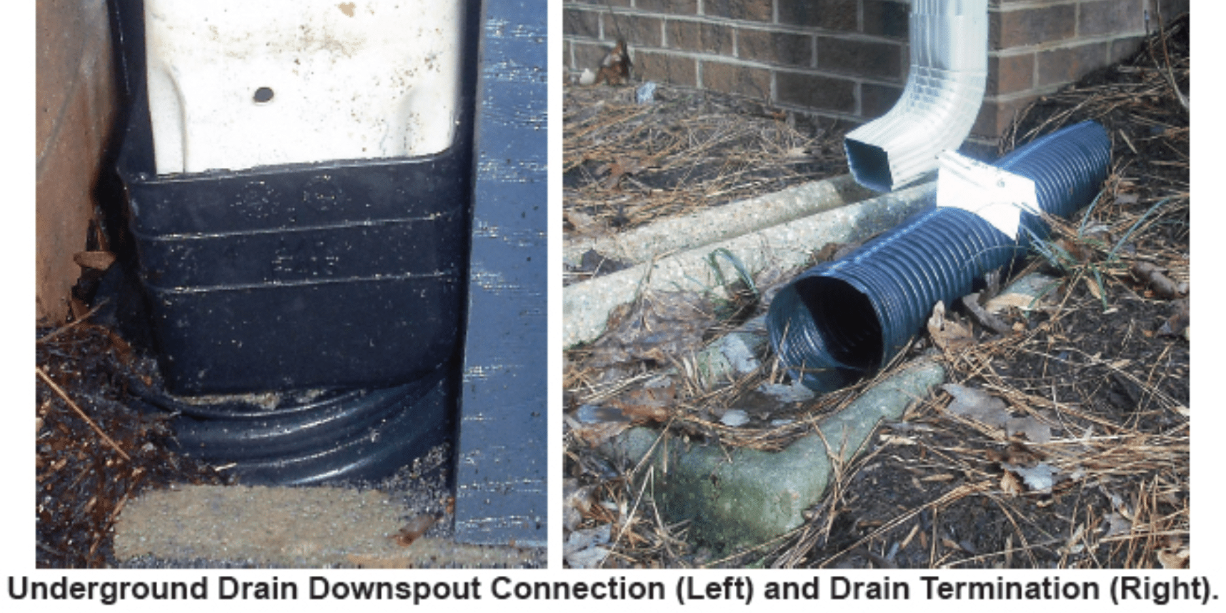 Two photos that depict an underground drain downspout connection and drain termination